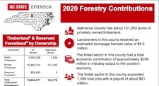 Forestry Impacts Infographic