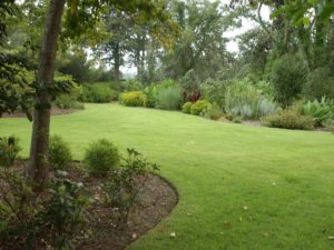 green lawn and border plantings