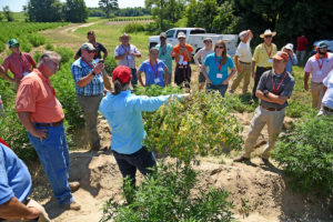 Cover photo for Reminders for Hemp License Holders