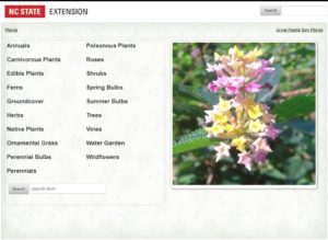 Landing page for plants.ces.ncsu.edu