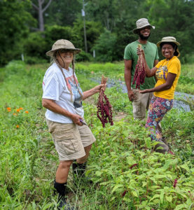 Cover photo for Farm Visit Snapshots: Perry-winkle Farm