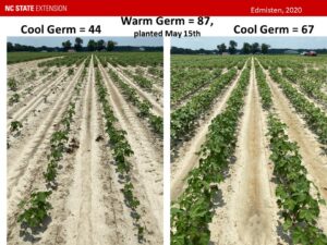 Cover photo for UPDATE 4-12-2021: Your Role and Responsibility in Making the NCDA&CS Cotton Seed Quality Testing Program Work to Your Benefit (Collins, Edmisten, Stewart, Wilson, Snyder, & Williams)