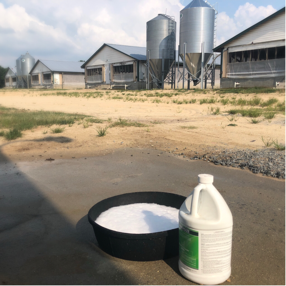 Biosecurity on the Farm