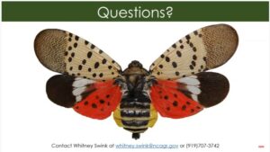 Cover photo for Be on the Lookout!