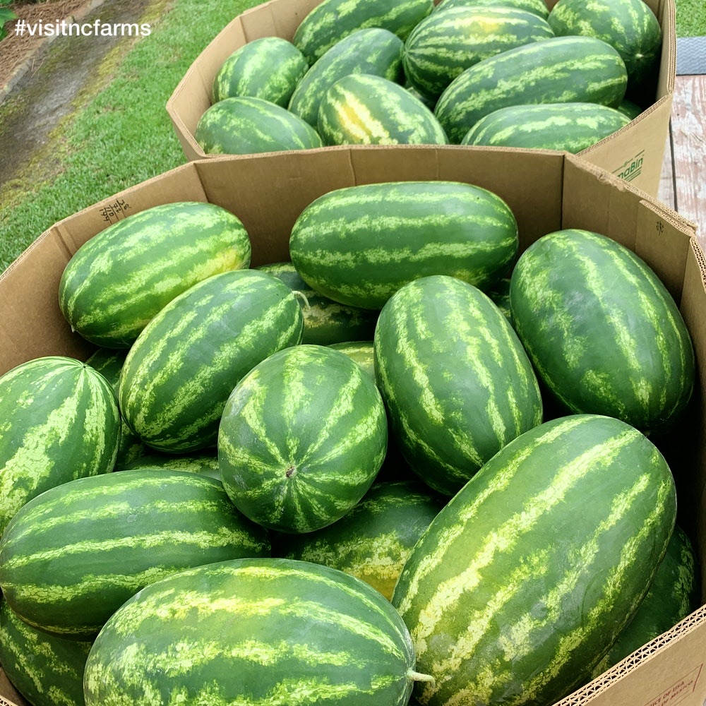 Watermelons