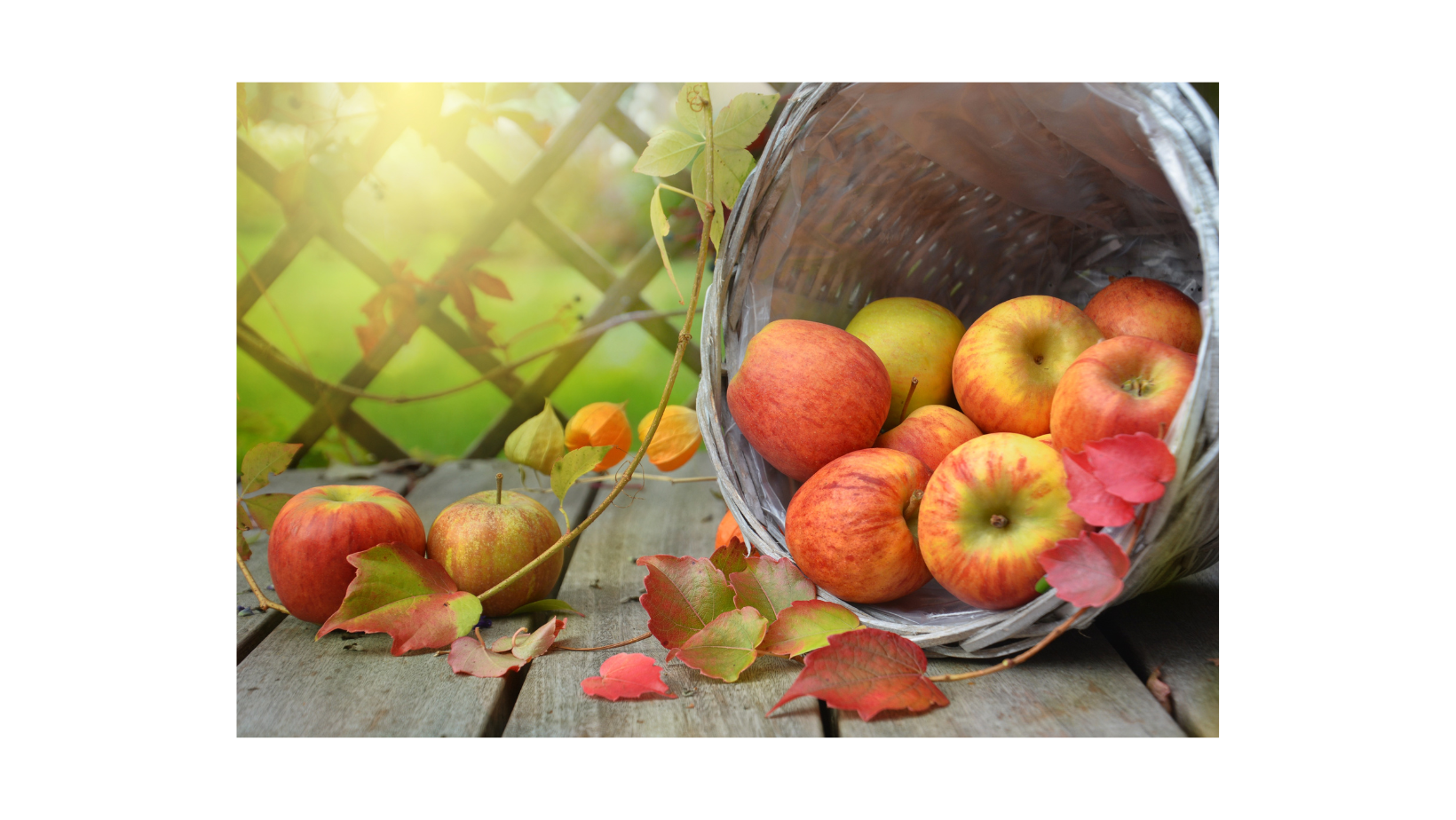 a basket of apples and fall leaves