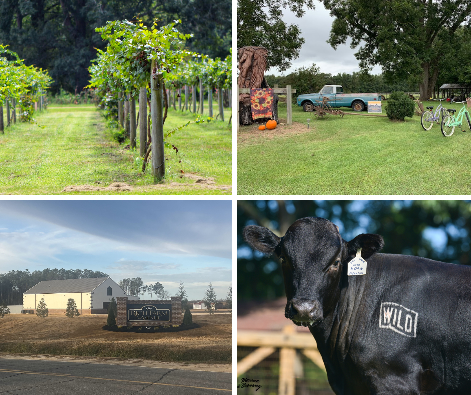 Farm Tour collage