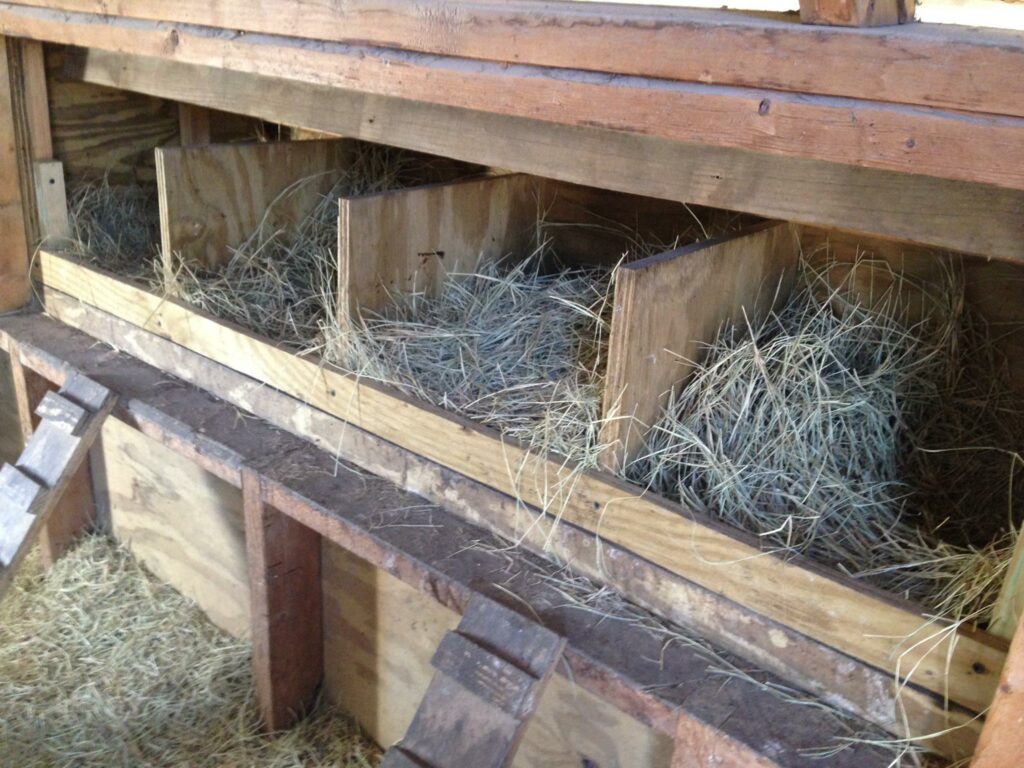 Nesting boxes