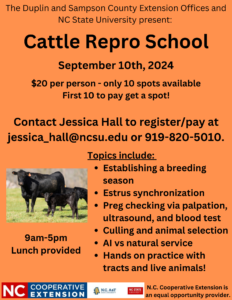 Cattle repro school