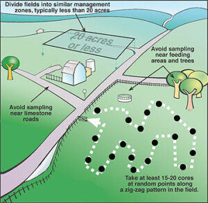 soil sampling map