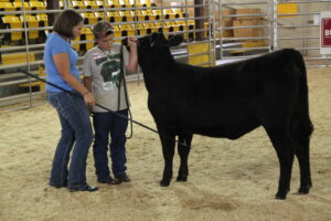 Cover photo for NC Showmanship Clinic 2025