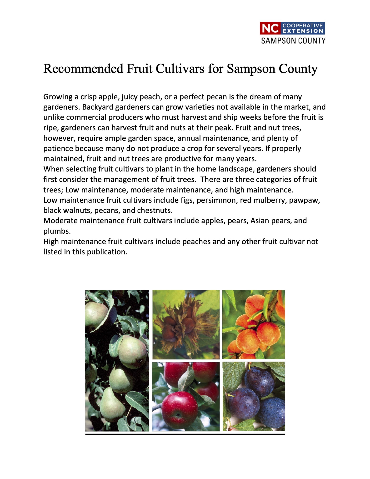 Recommended fruit cultivars for Sampson County