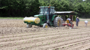 Tractor in field