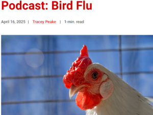 bird flu podcast