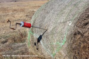 Walz hayprobe